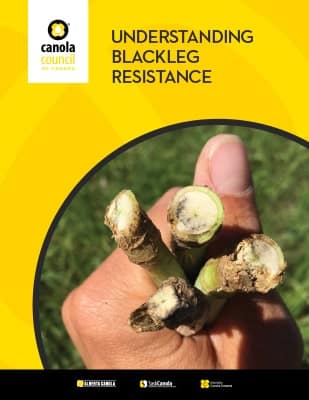understanding blackleg resistance brochure cover page