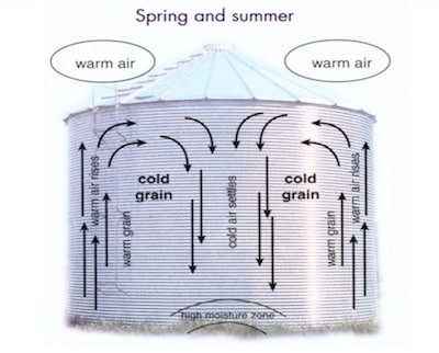 As outside air warms up, moisture migration cycles in the bin can concentrate warm moist air, creating a potential start point for spoilage. Warm up stored canola to break these cycles.