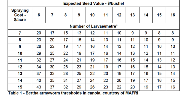 Bertha thresholds chart_opt