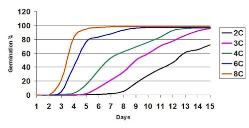 cold soils mean slow emergence