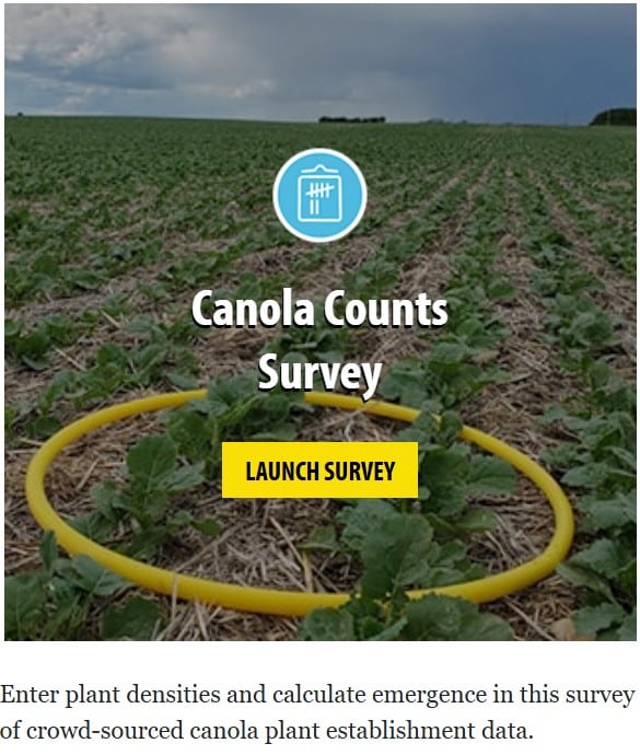 Canola Counts survey tool icon