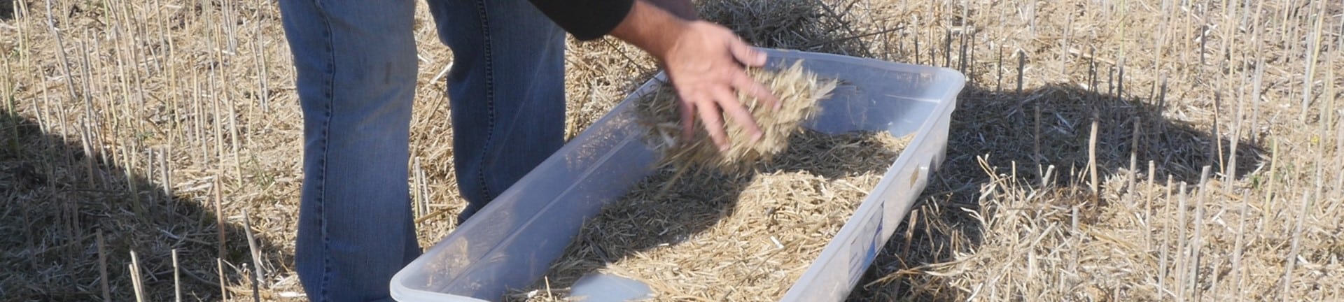harvest loss sample collecting