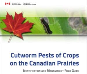cutworm guide